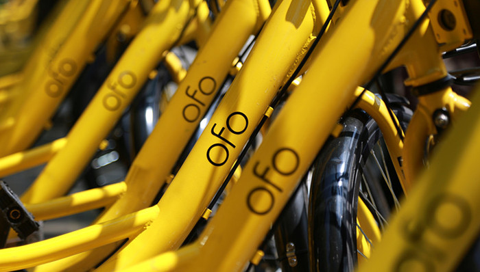 小黄车,ofo,诉讼请求