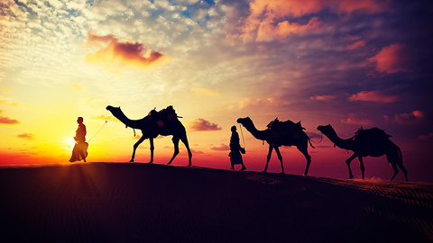 纵有万千不同，心意相通，11种语言汇成一首《共同的诗》！