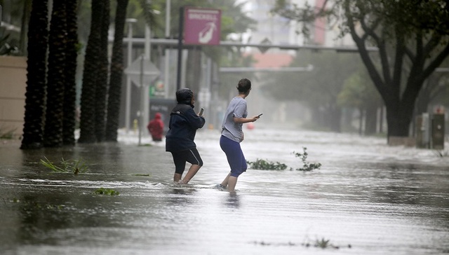 飓风,“哈维”,“艾尔玛”