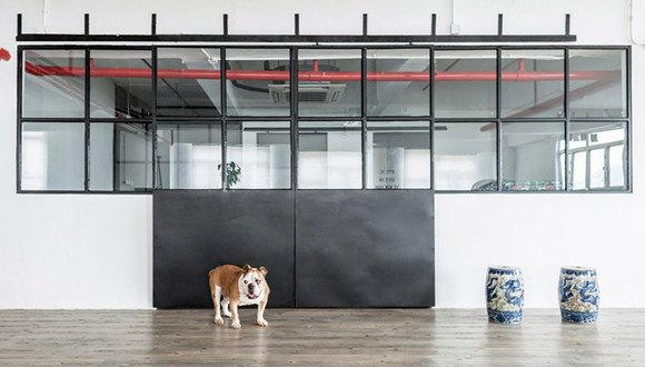 公寓,Loft,Lu,混搭,Lim,设计目标,宠物,艺术家,穿越,淋浴间