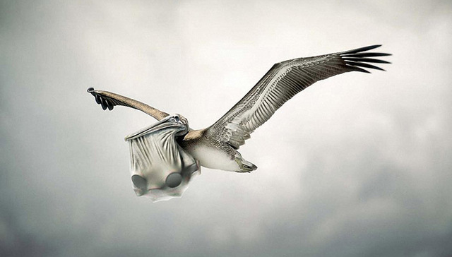 CMU,腾讯,浪费,托福,录取结果,学校,定制,日语学习,背单词,口语