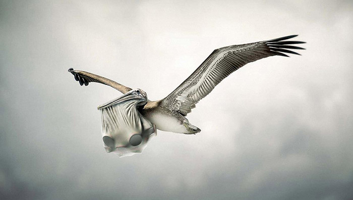 CMU,腾讯,浪费,托福,录取结果,学校,定制,日语学习,背单词,口语