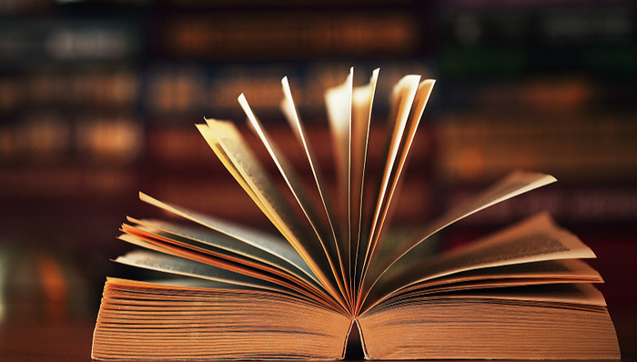 规划,达标率,公共图书馆,十三五,公共文化,文化部,创新管理体制,图书馆事业,文献信息资源,文献资源