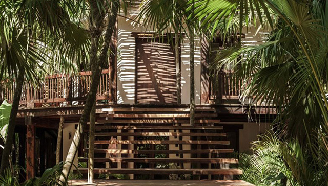 丛林,图卢姆,古城,棕榈树丛,Oaxacan,Caravana,酒店集团,CO-LAB,建筑,混凝土