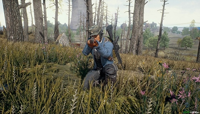 fgo,阴阳师,iOS,TapTap,收入榜,8月,榜单,最囧游戏2,发行商,王者荣耀