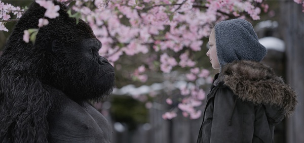 蒂姆伯顿,1970年,腹黑,续集电影,人猿星球,系列,决战猩球,导演,故事梗概,主演