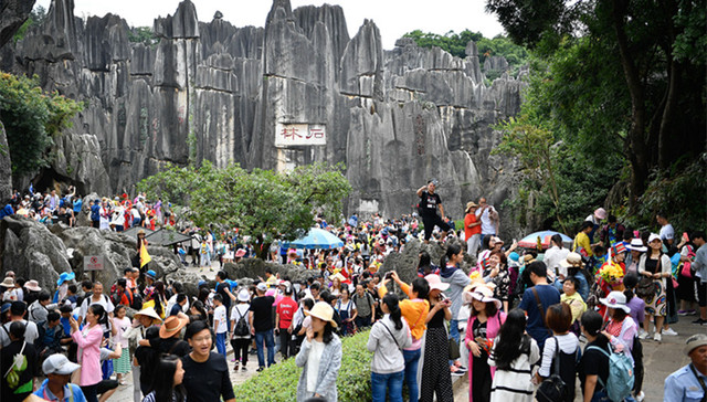 云南,整顿,旅游市场秩序