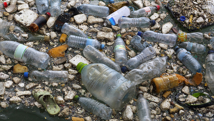 长江口,倾倒垃圾,被告人