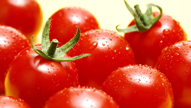 电商,毒奶粉,生鲜农产品,罗曼蒂克,农人网,文艺类,淘宝,创业者,食品安全问题,菜价