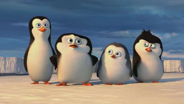 说好去看南极企鹅，我看到的居然是……