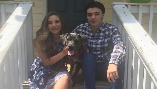 “你好教授，我想带狗上课”