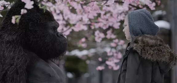 后期制作,顺片,Source-Connect,cineSync,Files,猩猩,剪辑师,土星5号