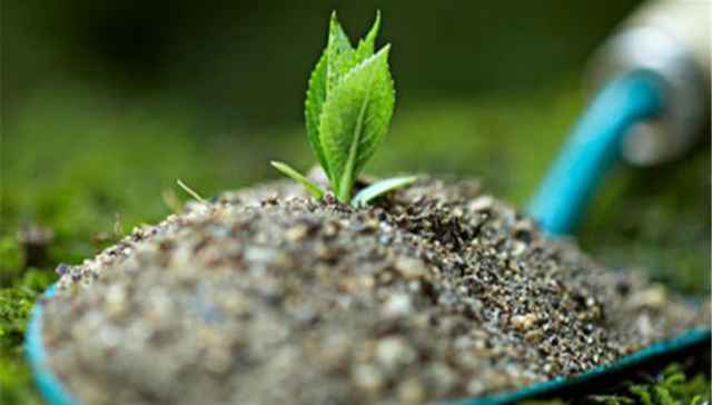 基本农田,耕地保护,城市格局,城市开发,城市边界,国土部,土地利用总体规划,空间格局,乱占耕地,控制