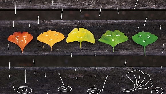 or,风格学,思维导图,水彩,微信,视觉化,视频教程,才学,30天学会绘画,网络课程