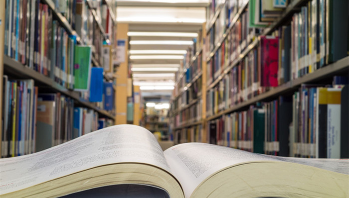 建设,高校名单,高校人才培养,建设成效,建设条件,双一流,建设任务,建设方案,高等教育质量,学科特色