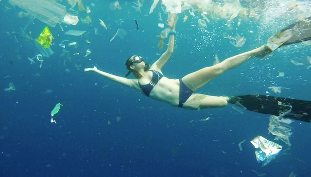 【天下奇闻】巴厘岛潜水者被3吨垃圾包围 美国女子30年买相同数字中1.3亿美元