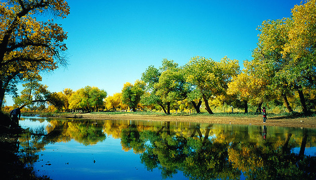 习近平,总书记,辉煌中国,人工林,产能,沙化土地,种群,恩格斯,绿水,绿色屏障