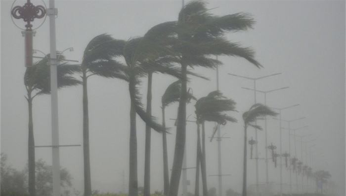台风命名,台风预报,海马,白鹿,龙王,成员国,海葵,中央气象台邀你给台风起名字,悟空,电母