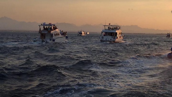 VC,投资机构,出海,创业