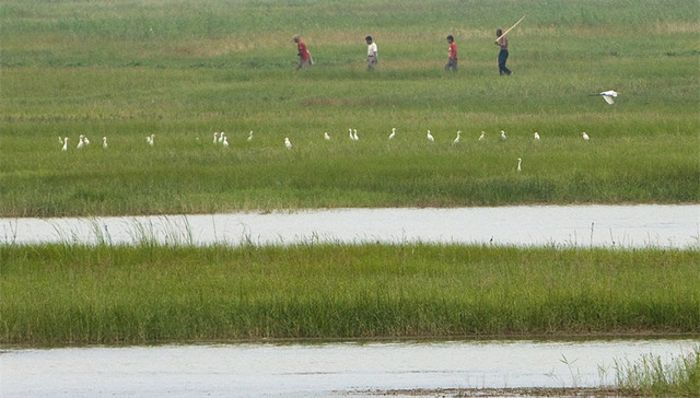黄河缺水,南水北调