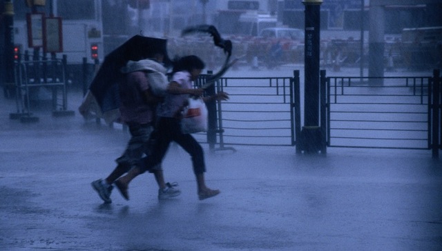 台风起名将评审：皮皮虾熊猫等9个名字进入候选