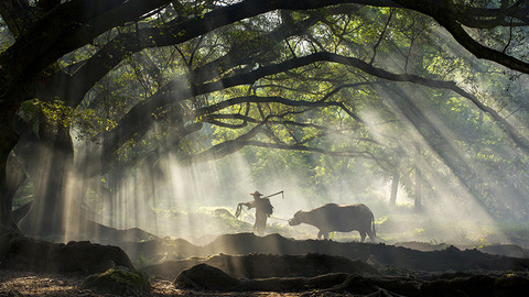 【改革·印记——看中国发展】中国农村的沧桑巨变：从“要我去”到“我要去”