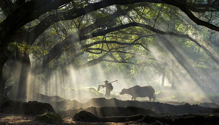 惠农政策,70后,80后,90后,我要去,要我去,更新换代,田塘村,别墅,城里人