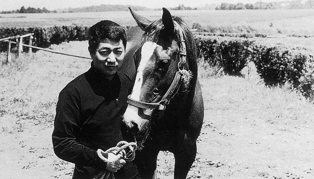 寺山修司在法国：“男人的旅行 就是为了逃离父亲”