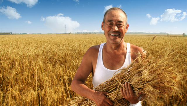 农业部：农民人均年收入将破1.3万 城乡差距缩小