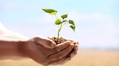 【综述】生态文明下的绿色中国梦