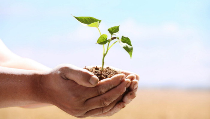 环境保护,砥砺奋进的五年