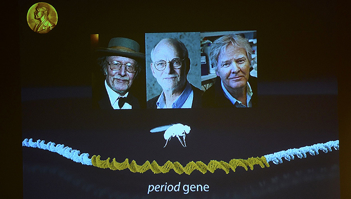 诺贝尔,医学,生理学