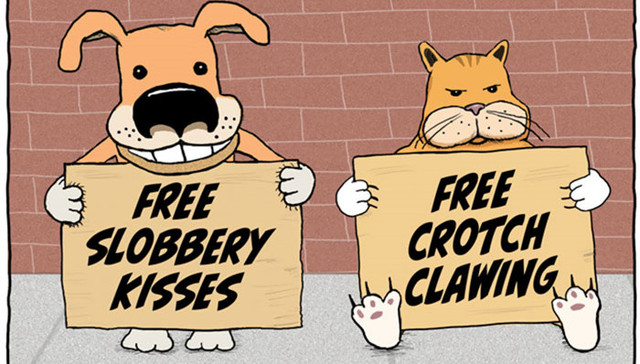 狗子来自火星，猫咪来金星