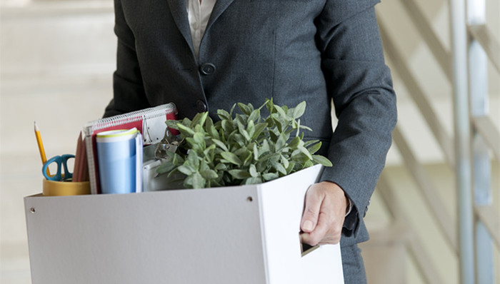 中纪委,公务员,辞职下海