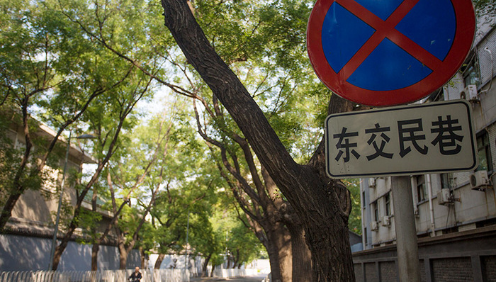 五道营胡同,新中式,大德通票号,1975年,慢生活,老北京,老北京胡同,老建筑,老槐树,白塔寺