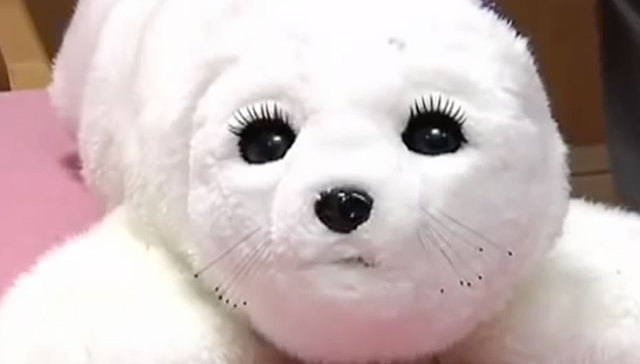 霓虹国连机器人都这么……