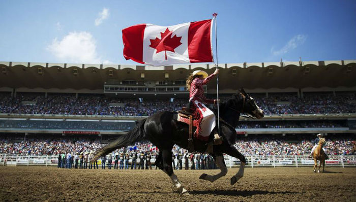 加拿大GoMedia,卡尔加里,埃德蒙顿,新斯舍科省,北极熊,北极光