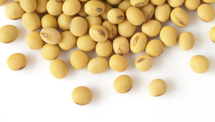 植物蛋白,泰森,雀巢,蒙牛