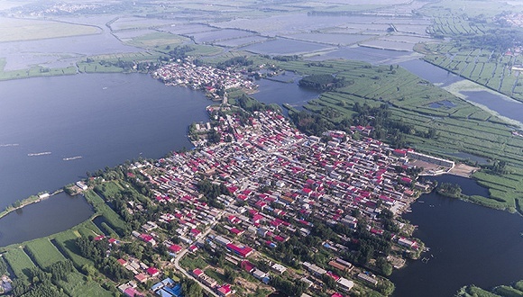 新区,合作造林,绿地,占比,散乱污,水域,白洋淀,租金,租地,坑塘