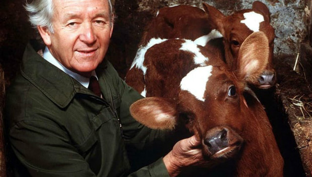 描述人类与动物关系的十佳文学作品