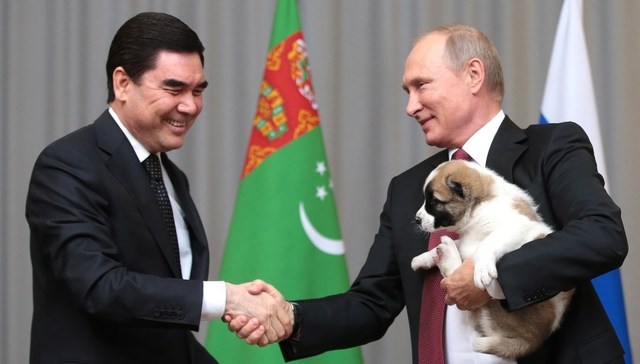 普京,宠物,牧羊犬