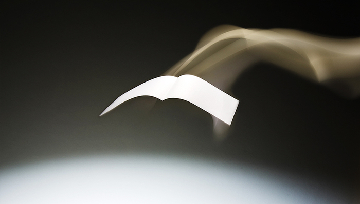 纸价上涨、业绩预增、股价下跌、晨鸣纸业