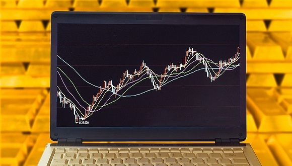 NEA,百合网,LP,募资,型投资,2005年,投资者,画画,医疗服务,画布