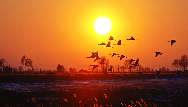 五年过去了，你知道多少华润砥砺奋进的故事？