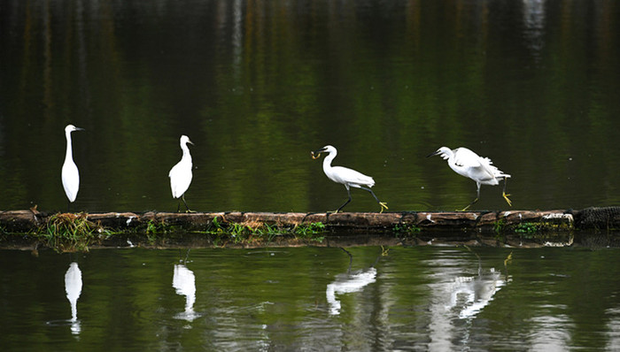 环保部,地表水,采测分离