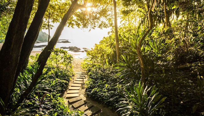 Med,新加坡签证,冷榨,新加坡樟,亲子游,Club,后花园,民丹岛,,,海岛