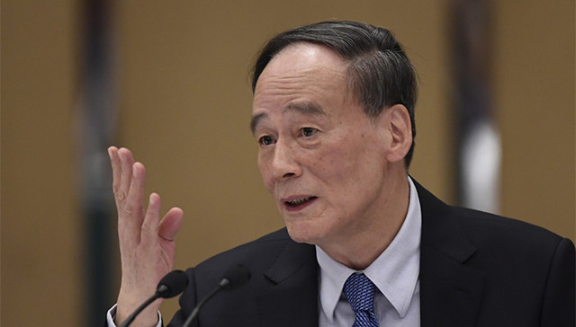 王岐山,十九大,湖南省代表团