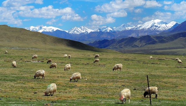 十九大甘肃代表团：像保护眼睛一样保护祁连山