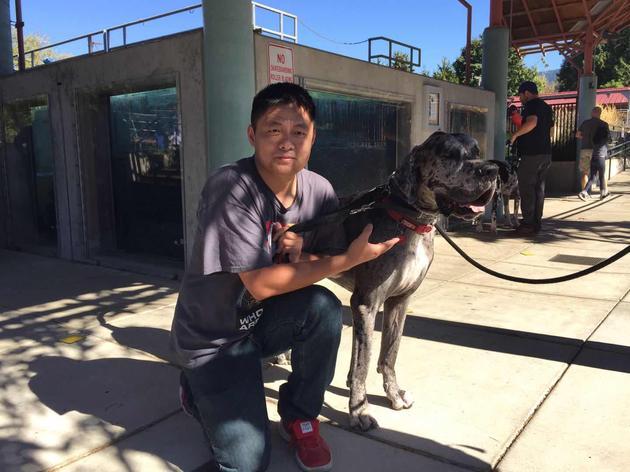 第二回合开战 贾跃亭明日在西雅图再告顾颖琼