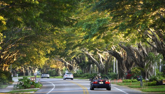 上海如何在城市中再造自然？ 专家：打造近自然生态系统